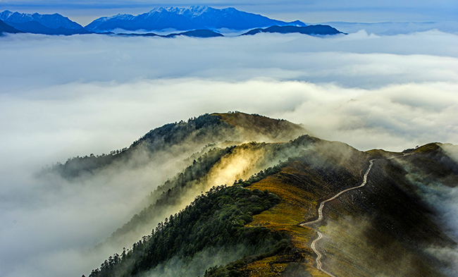 必赢亚洲·bwin(中国区)官方网站